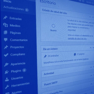 Error crítico en WordPress: por qué ocurre y cómo solucionarlo